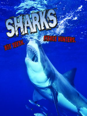Sharks! Big Teeth. Fierce Hunters - ebook